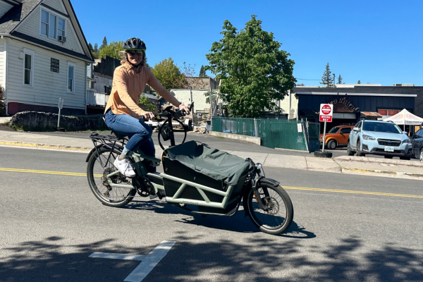 E-Cargo Bike Review: Riese & Müller Load 4 60 Front Loader